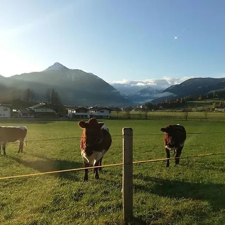 Haus-pongau *