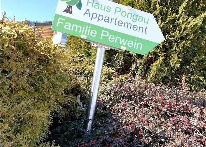 Haus-pongau Флахау